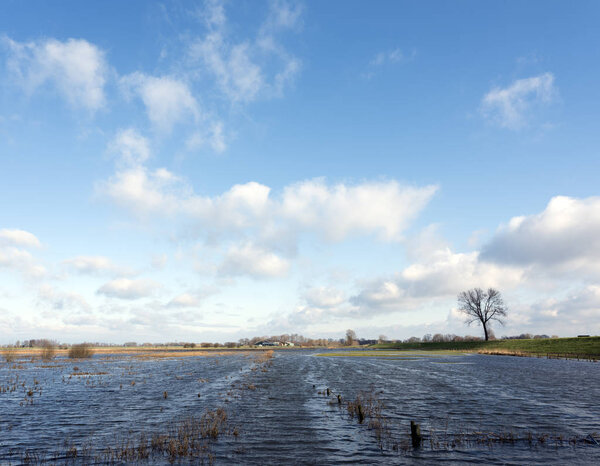 flood plains of river ijssel near Zalk between Kampen and Zwolle in the netherlands