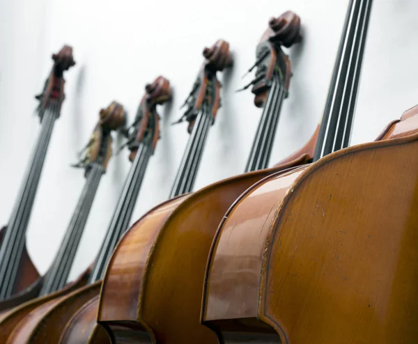 Closeup of row of double basses resting against a wall — Stock Photo, Image