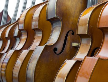 satır Çift Bass bir duvara dinlenme closeup