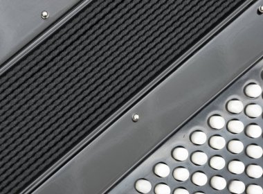 klavye parçası portre siyah akordeon