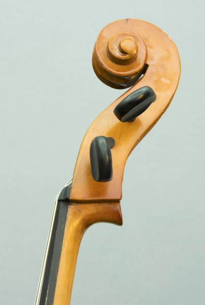 Close-up de instrumento de corda de parte violoncelo com laços e rolagem — Fotografia de Stock