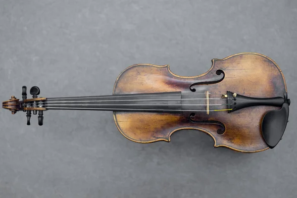 Strunný nástroj housle šedém pozadí — Stock fotografie