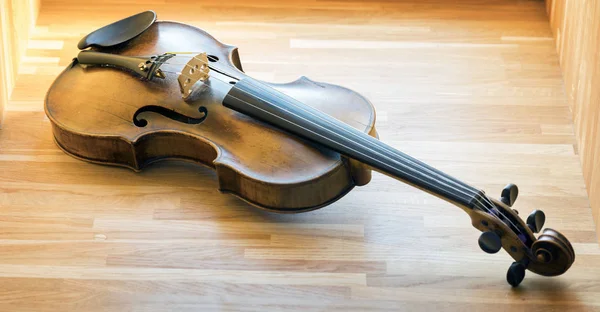 Stringed instrument violin on wooden oak background — Stock Photo, Image