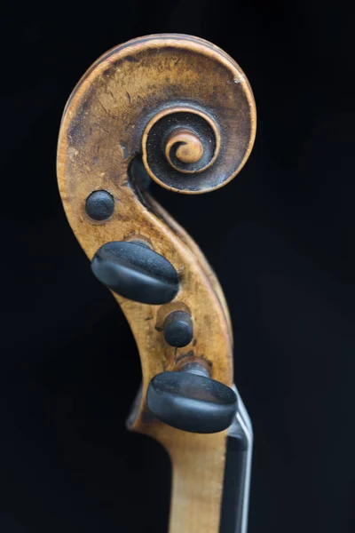 Scroll of violin against black background in close seup — стоковое фото