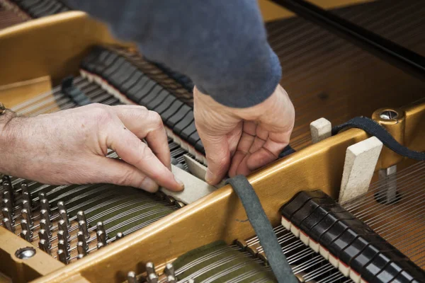 Mano y herramientas de afinador trabajando en piano de cola — Foto de Stock