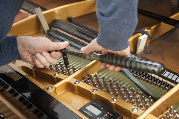 el ve tuner grand piyano üzerinde çalışma araçları
