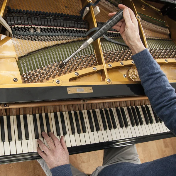 hand and tools of tuner working on grand piano