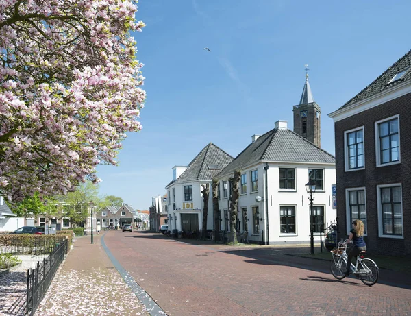 Ragazza in bicicletta passa albero primaverile fiorito nel villaggio olandese di loenen aan de vecht in primavera — Foto Stock