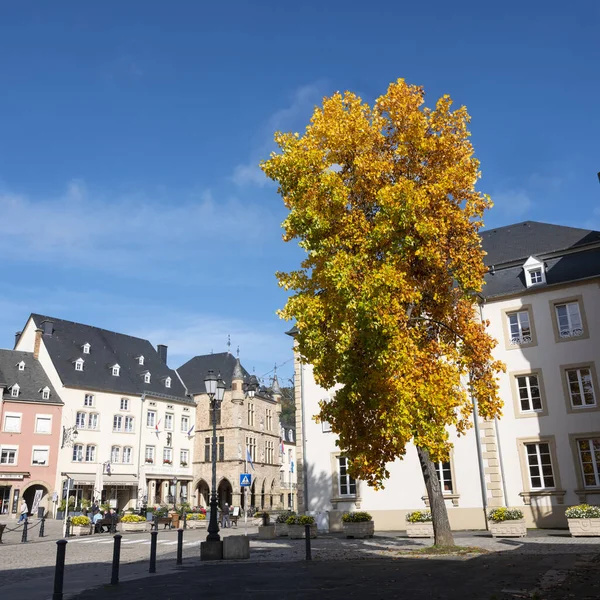 Acero colorato nella città di lusso di echternach in autunno — Foto Stock