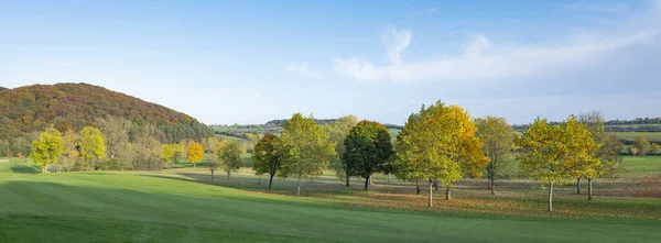 Trees in bright autumn colors under blue sky in luxembourg — Stock Photo, Image