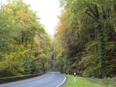 Lüksemburg 'da sonbahar boyunca Mullertal' da dolambaçlı yol
