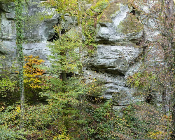 Hojas de otoño y rocas en el bosque cerca de echternach y mullertal —  Fotos de Stock