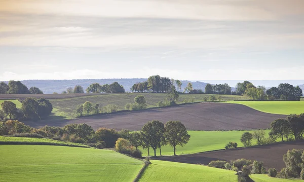 Landschaft mit Feldern und Wiesen in der holländischen Provinz Südlim — Stockfoto
