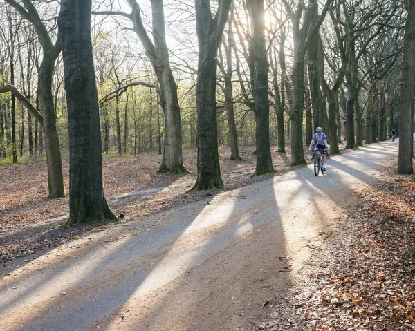 Ciclista Retroiluminado Floresta Primavera Cavalga Rápido Para Baixo Com Folhas — Fotografia de Stock