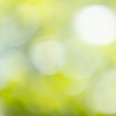 soyut taze yeşil odak dışı bulanık doğa yumuşak odak arka planı