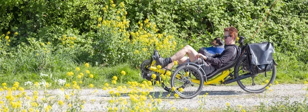 Utrecht Países Baixos Abril 2020 Mulher Pequeno Cão Bicicleta Reclinada — Fotografia de Stock