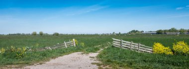Çit ve bahar çiçekleri mavi gökyüzünün altında Amsterdam yakınlarındaki çayırın girişinde.