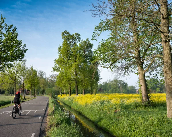 Haarzuilens Países Bajos Abril 2020 Hombre Bicicleta Parque Del Castillo —  Fotos de Stock