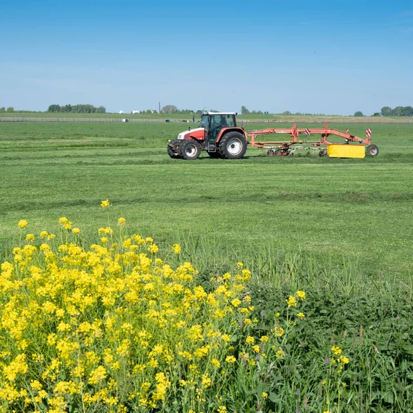 Traktor s travním turnerem na zelené louce pod modrou oblohou v Holandsku — Stock fotografie