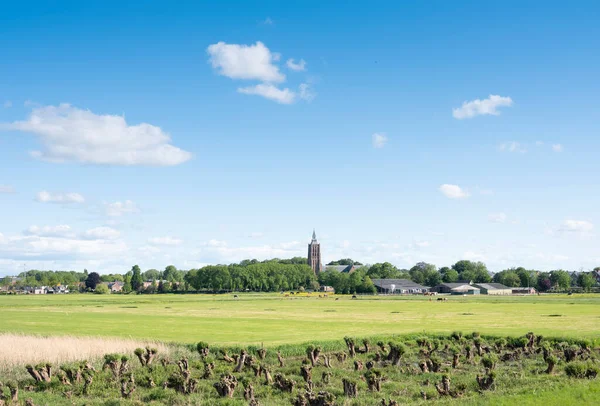 Vue sur le village d'asperen avec grande église au centre de holland avec ciel bleu au printemps — Photo