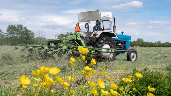 Viejo tractor y henificadora de heno en el prado cerca del campo lleno de buttercups —  Fotos de Stock
