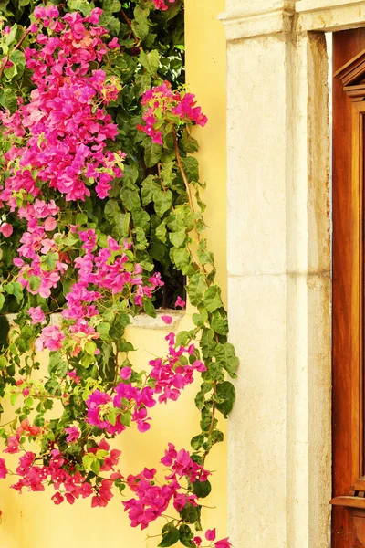 Ahşap Kapı Güzel Manzarasına Evde Cephesinde — Stok fotoğraf