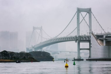 Çok güzel bir köprü Nehri siste