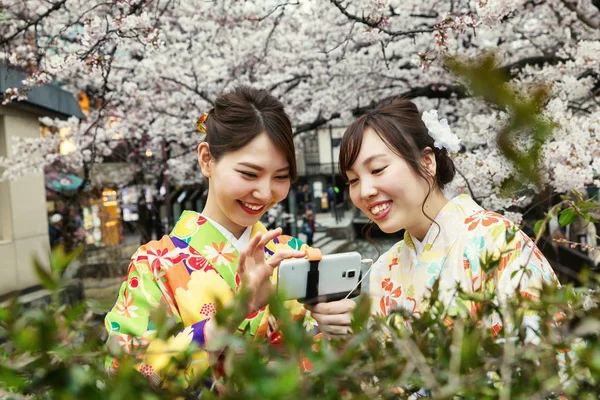 Chicas hermosas felices en un parque con flores de cerezo en flor — Foto de Stock