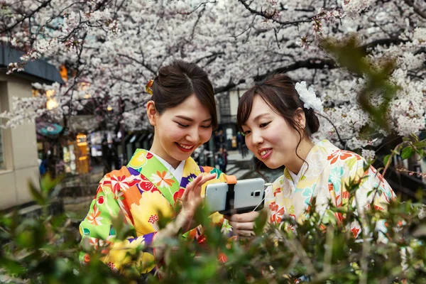 Chicas hermosas felices en un parque con flores de cerezo en flor — Foto de Stock