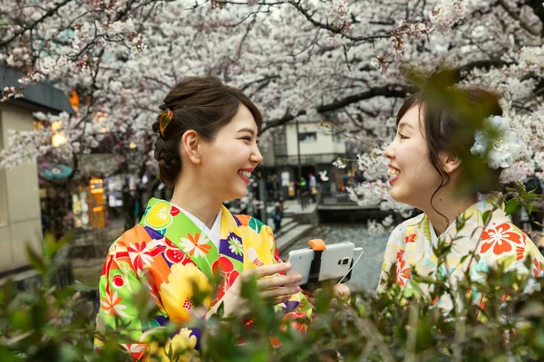 Chicas hermosas felices en un parque con flores de cerezo en flor — Foto de Stock