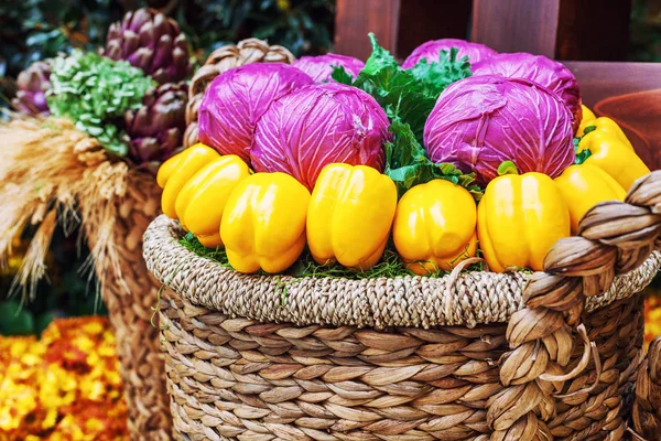 Verduras brillantes en una cesta, hermosa composición — Foto de Stock