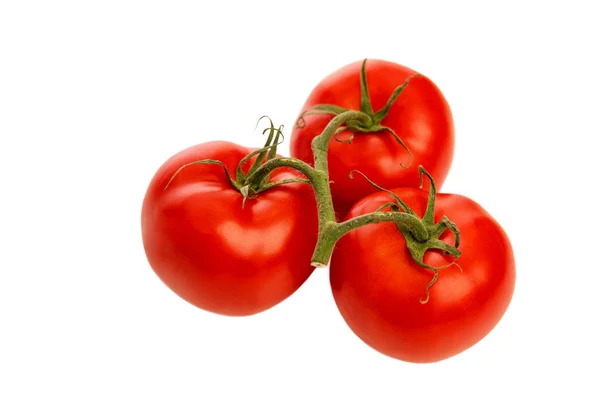 Tomat Matang Juicy Pada Cabang Close Terisolasi Pada Latar Belakang — Stok Foto