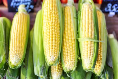Tezgahta mısır kulakları var. Yakın plan..