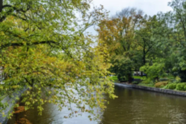 Autumn trees by the river. Blurred. Background. Space for text.