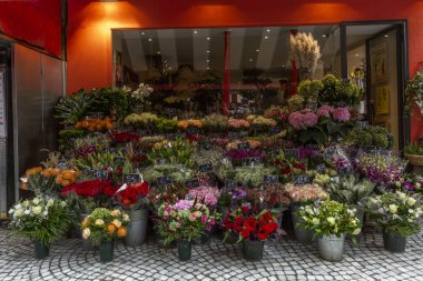 Paris, Fransa, 09.10.2019: Şehir merkezinde geniş çeşitliliğe sahip bir çiçekçi dükkanı.
