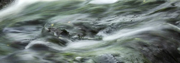 Un tormentoso chorro de agua en una cascada. La fuerza y la belleza de la naturaleza. Hermoso paisaje. Primer plano. Antecedentes Espacio para texto . —  Fotos de Stock