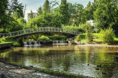 Güneşli bir günde yüzen ördekler ve bir köprüyle güzel bir şehir parkı..