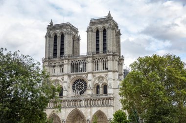 Notre Dame, ağaçların yeşil yapraklarında mavi gökyüzüne karşı. Yakın plan..