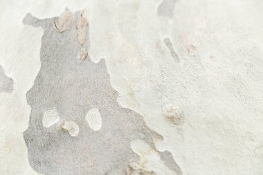 Mavi beton bir duvarın dokusu. Mesaj için yer var. Arkaplan.