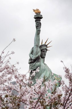 Tokyo 'da Özgürlük Anıtı Odaiba adasında kasvetli bir günde çiçek açan sakura. 