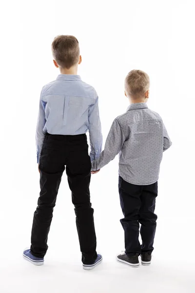 Kleine Brüder in blauen Hemden stehen Händchen haltend da. Rückseite. weißer Hintergrund. — Stockfoto
