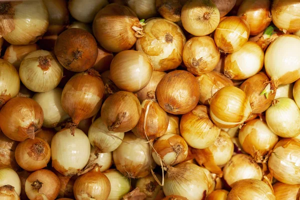 Cebollas doradas en el mostrador del supermercado. Dieta y alimentación saludable. Primer plano. Antecedentes Espacio para el texto. Vista desde arriba . — Foto de Stock