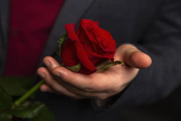 Röd ros i en mans hand på en svart bakgrund. Närbild. — Stockfoto