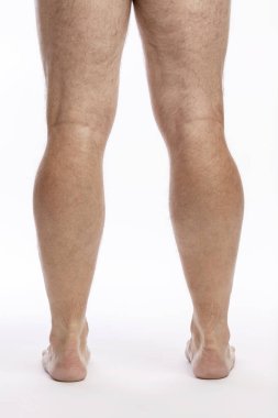Bare hairy male legs on a white background. Close-up. clipart