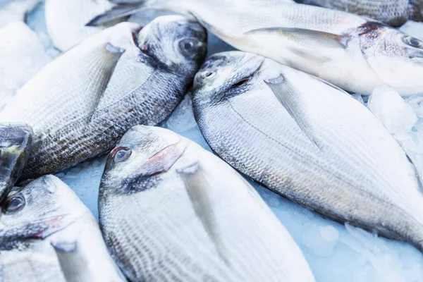 Viel frischer Fisch auf dem Markt. Frischfang. Blick von oben. — Stockfoto