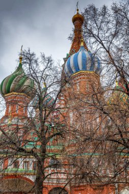 St. Ağaçların kalın dallarında Basil 'in Katedrali. Yakın plan. Dikey.