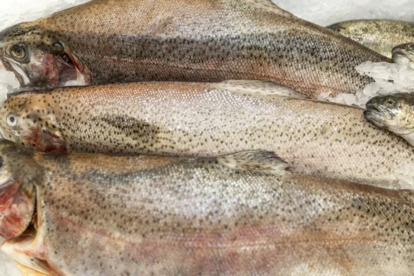 Una Fila Pesce Fresco Sul Ghiaccio Bancone Supermercato Primo Piano — Foto Stock