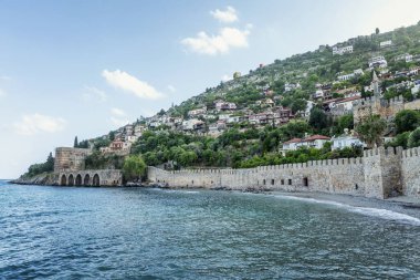 Deniz kenarındaki ağaçların yoğun yeşilliğinde güzel evler..