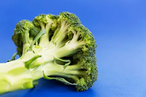 Blommande Huvud Och Stjälk Broccoli Blå Bakgrund Hörnet Skottet — Stockfoto