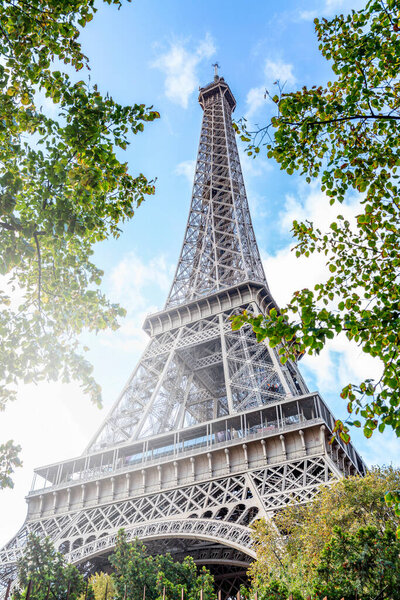 Eiffel Tower in the green of trees with morning sunlight. Beautiful landscape. Postcard. Vertical.